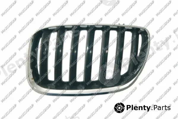 Prasco BM8202024 — Radiator Grille