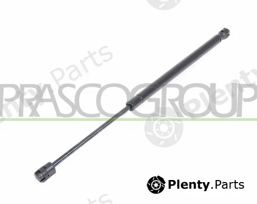 Prasco FT4209055 — Gas Spring, boot/cargo area