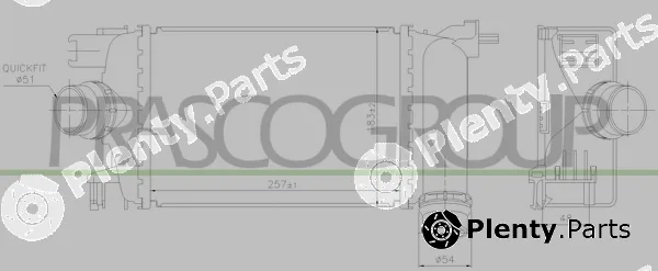 Prasco DS016N001 — Charge Air Cooler