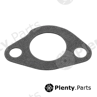 Hoffer 01671 — Seal, thermostat