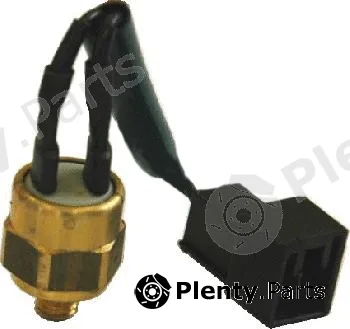 Hoffer 7472621 — Temperature Switch, coolant warning lamp