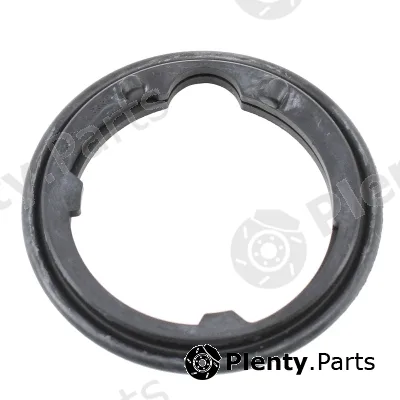 Hoffer 01680 — Seal, thermostat