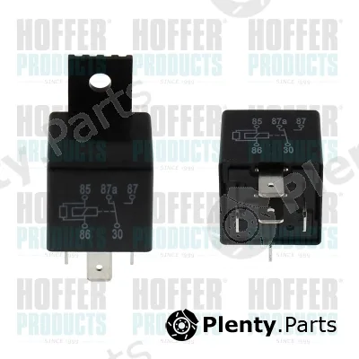 Hoffer 7233303 — Multifunctional Relay
