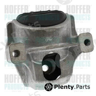 Hoffer H197003 — Mounting, engine