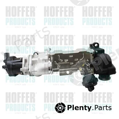 Hoffer 7518962 — EGR Module