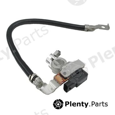 Hoffer 241006 — Sensor, battery management