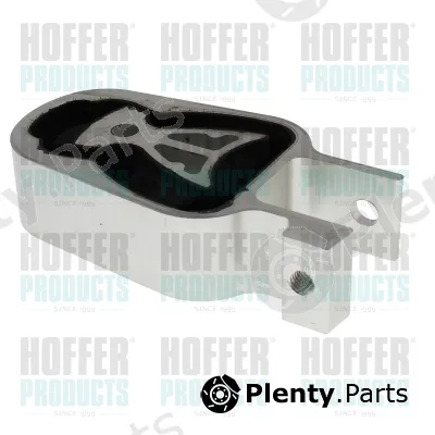 Hoffer H197016 — Mounting, engine