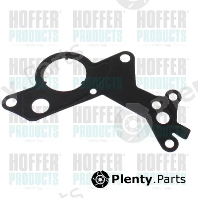 Hoffer 91255 — Gasket, vacuum pump