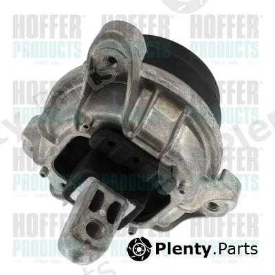 Hoffer H197005 — Mounting, engine