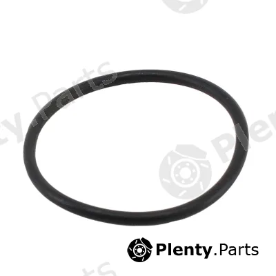Hoffer 01691 — Seal, thermostat