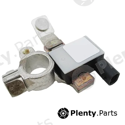 Hoffer 241003 — Sensor, battery management