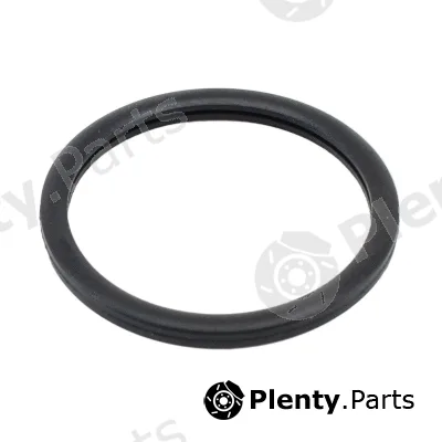 Hoffer 01656 — Seal, thermostat
