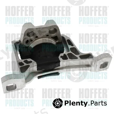 Hoffer H197010 — Mounting, engine