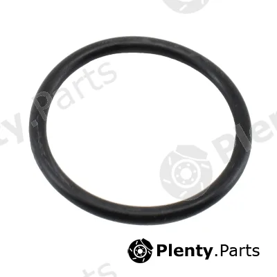 Hoffer 01699 — Seal, thermostat