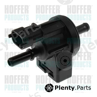 Hoffer 8029452 — Breather Valve, fuel tank