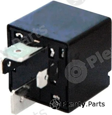 Hoffer 7250005 — Multifunctional Relay