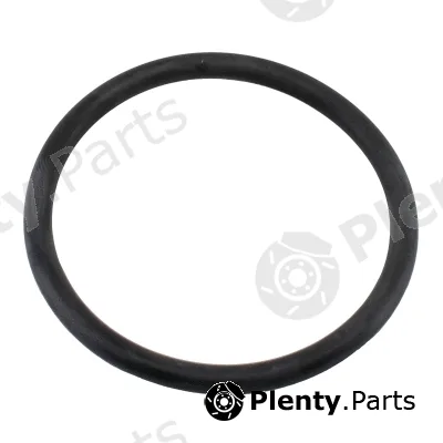Hoffer 01676 — Seal, thermostat