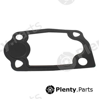 Hoffer 016107 — Seal, thermostat