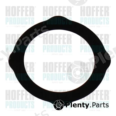 Hoffer 016233 — Gasket, EGR valve