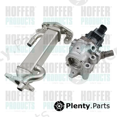 Hoffer 7518844 — EGR Module