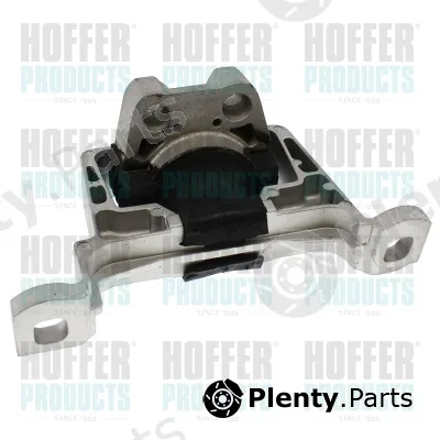Hoffer H197011 — Mounting, engine