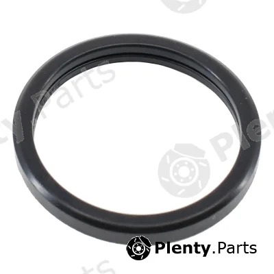 Hoffer 01658 — Seal, thermostat