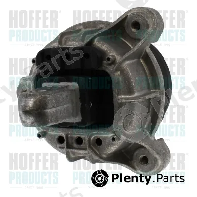 Hoffer H197006 — Mounting, engine