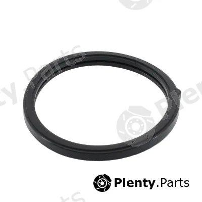 Hoffer 01698 — Seal, thermostat