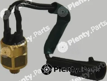 Hoffer 7472622 — Temperature Switch, coolant warning lamp