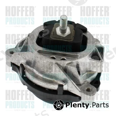 Hoffer H197009 — Mounting, engine