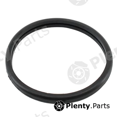 Hoffer 01673 — Seal, thermostat