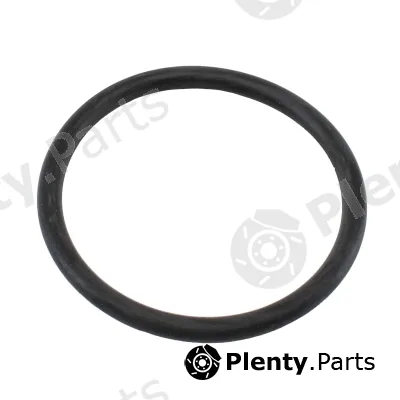Hoffer 01681 — Seal, thermostat