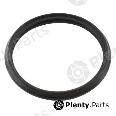 Hoffer 016110 — Seal, thermostat
