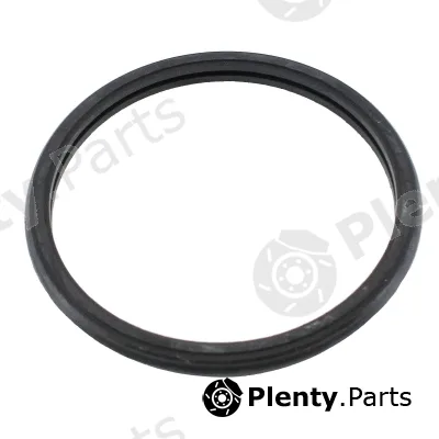 Hoffer 01684 — Seal, thermostat