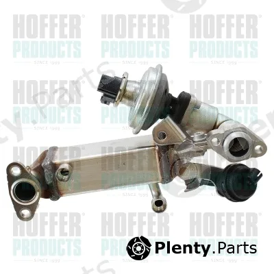 EGR Module