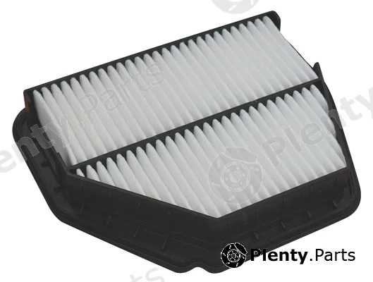 Hoffer 18363 — Air Filter