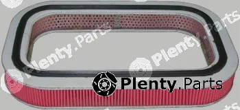 Hoffer 16418 — Air Filter