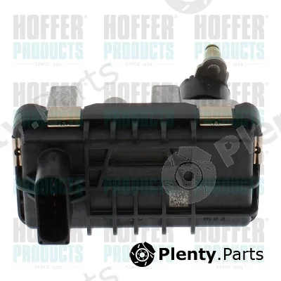 Hoffer 6200131 — Boost Pressure Control Valve