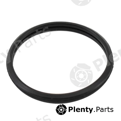 Hoffer 01677 — Seal, thermostat