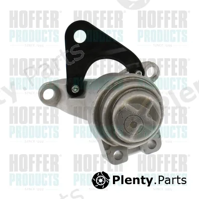 Hoffer H197013 — Mounting, engine