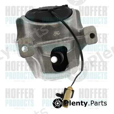 Hoffer H197004 — Mounting, engine