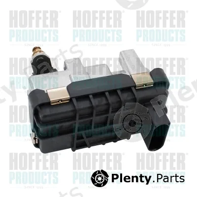Hoffer 6200099E — Boost Pressure Control Valve