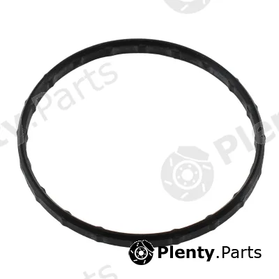 Hoffer 01695 — Seal, thermostat