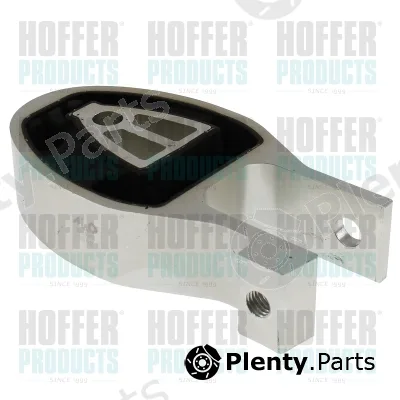 Hoffer H197014 — Mounting, engine