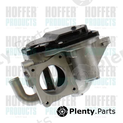 Hoffer 7518948R — EGR Valve