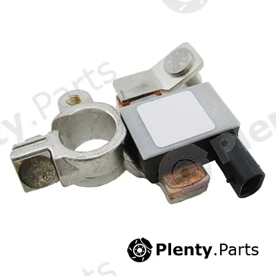 Hoffer 241002 — Sensor, battery management