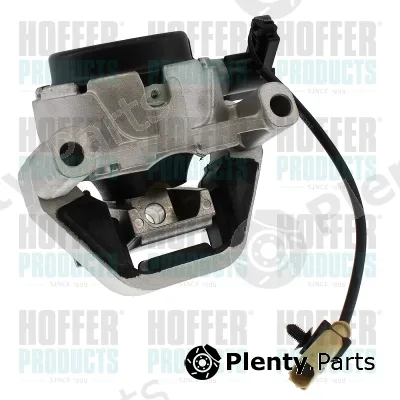 Hoffer H197002 — Mounting, engine