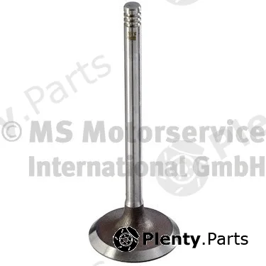 Intake Valve