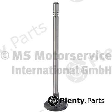 Intake Valve