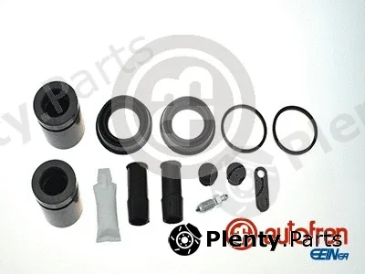Autofren Seinsa D42281C — Repair Kit, brake caliper
